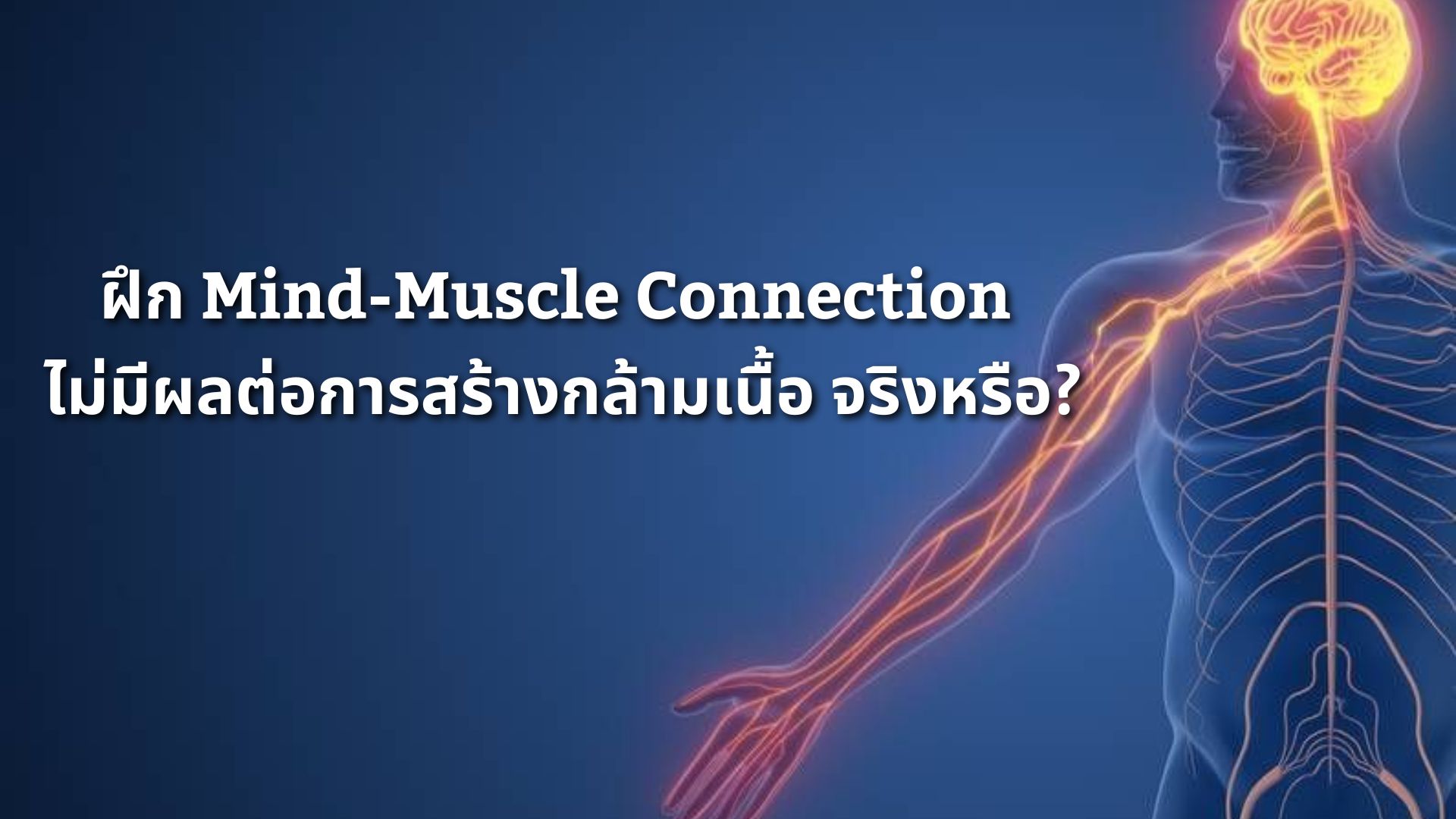 ฝึก Mind-Muscle Connection ไม่มีผลต่อการสร้างกล้ามเนื้อ จริงหรือ?