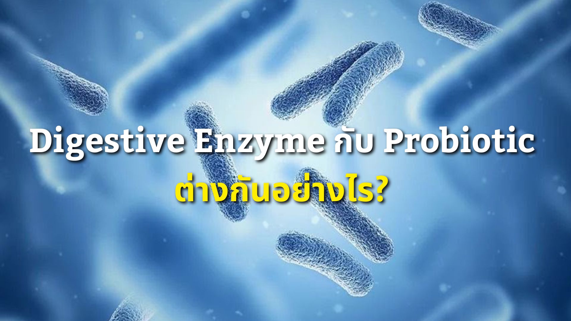 Digestive Enzyme กับ Probiotic ต่างกันอย่างไร? เลือกกินแบบไหนให้ตอบโจทย์