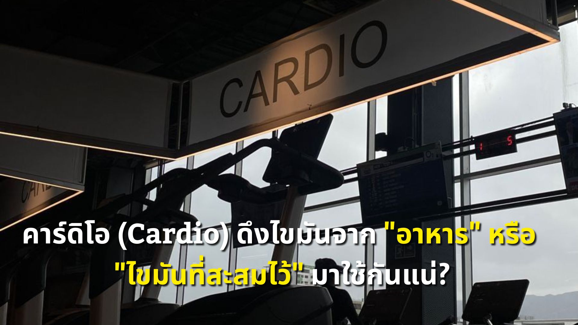 คาร์ดิโอ (Cardio) ดึงไขมันจาก อาหาร หรือ ไขมันที่สะสมไว้ มาใช้กันแน่
